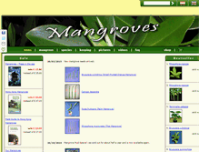 Tablet Screenshot of mangrove.de